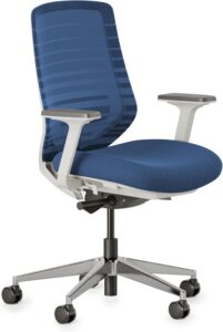 Branch Ergonomic Chair